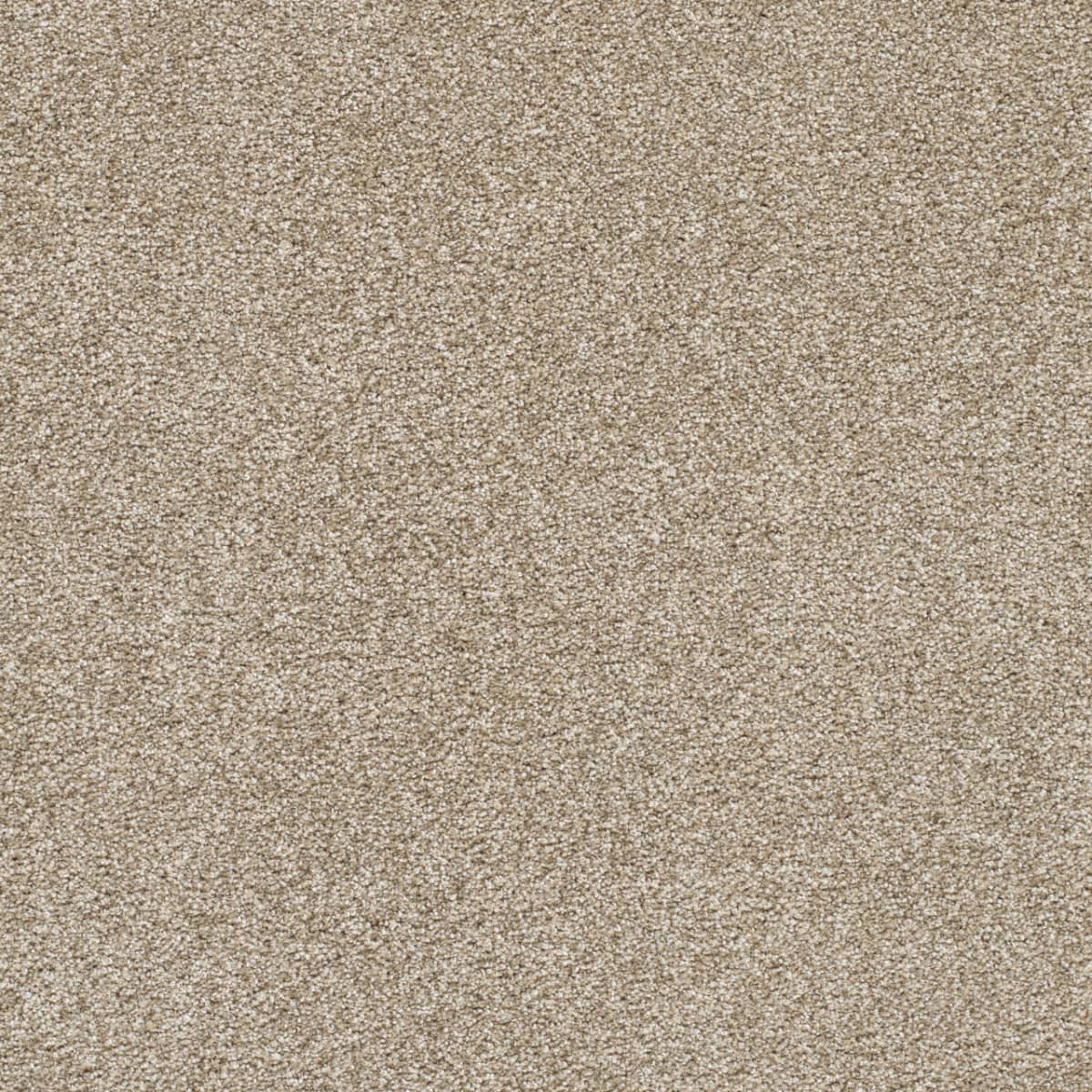 DreamWeaver® Silver Lining II Textured Carpet