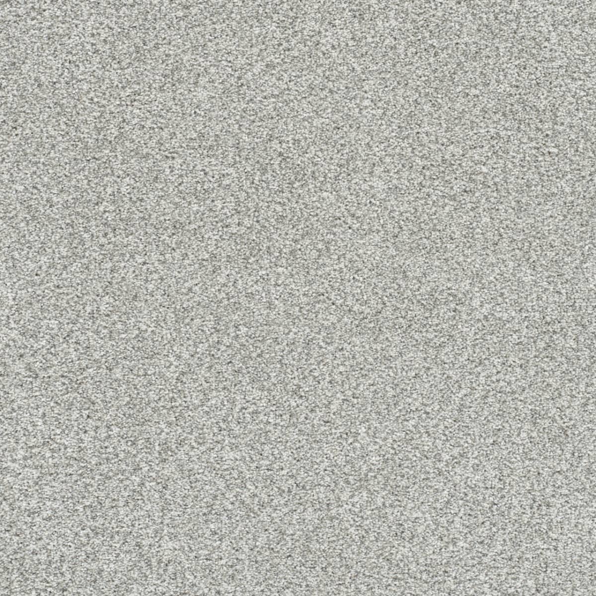 DreamWeaver® Silver Lining II Textured Carpet