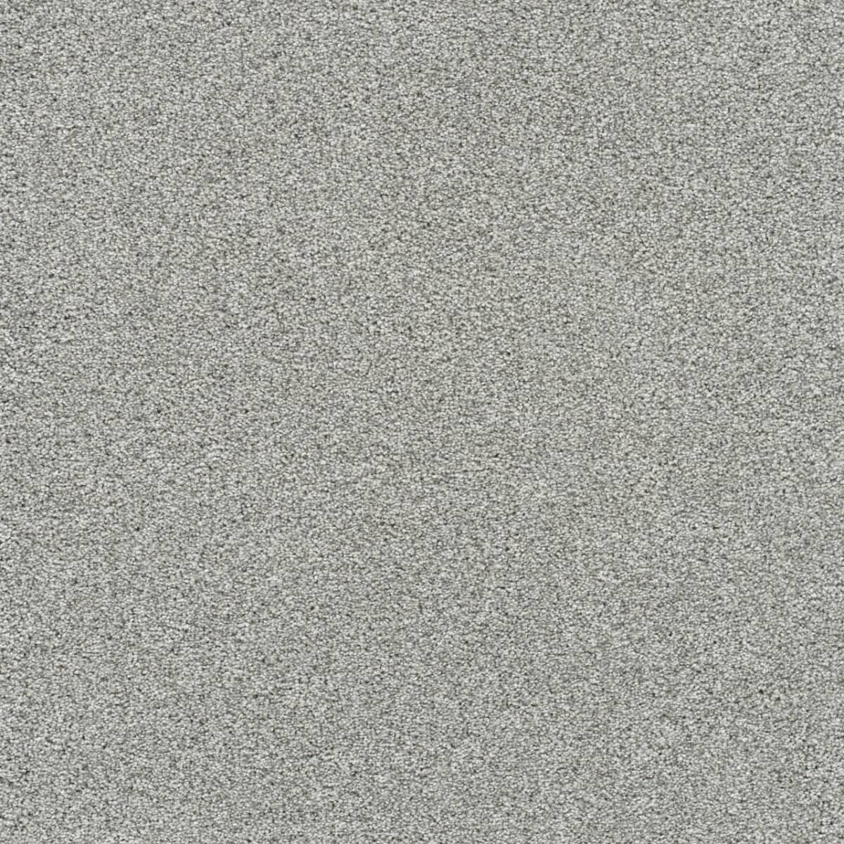 DreamWeaver® Silver Lining II Textured Carpet