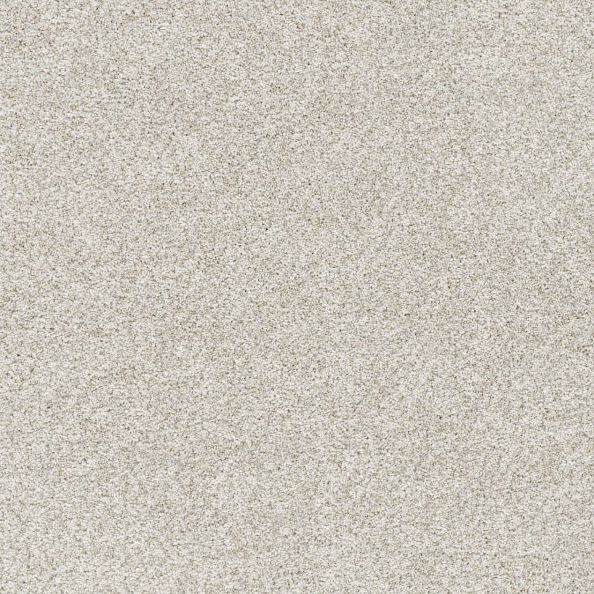 DreamWeaver® Silver Lining II Textured Carpet