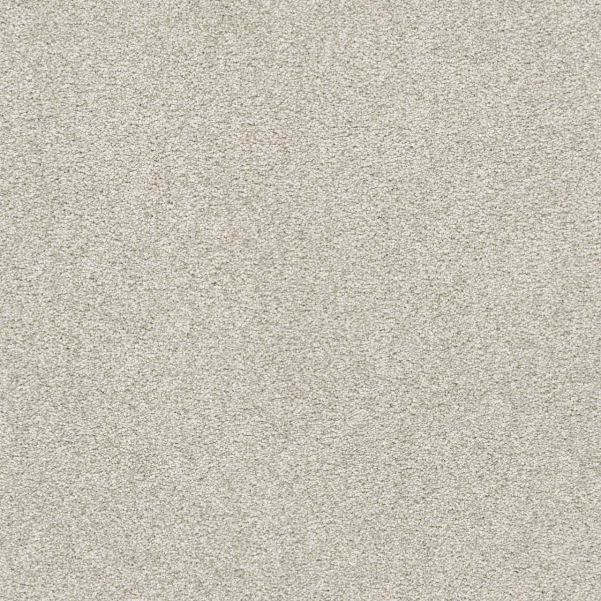 DreamWeaver® Silver Lining II Textured Carpet