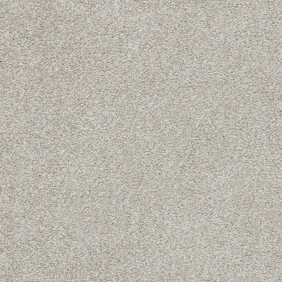 DreamWeaver® Silver Lining II Textured Carpet