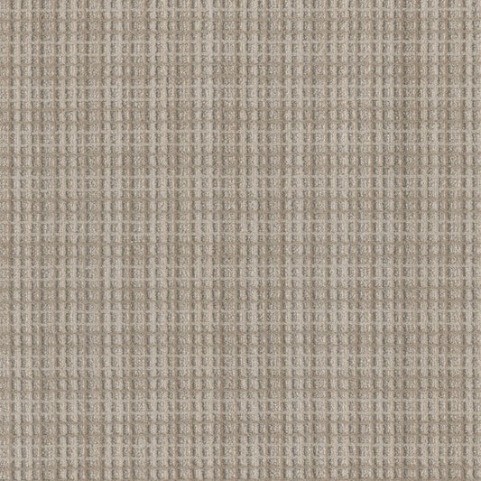 DreamWeaver® Select Suffolk Patterned Carpet
