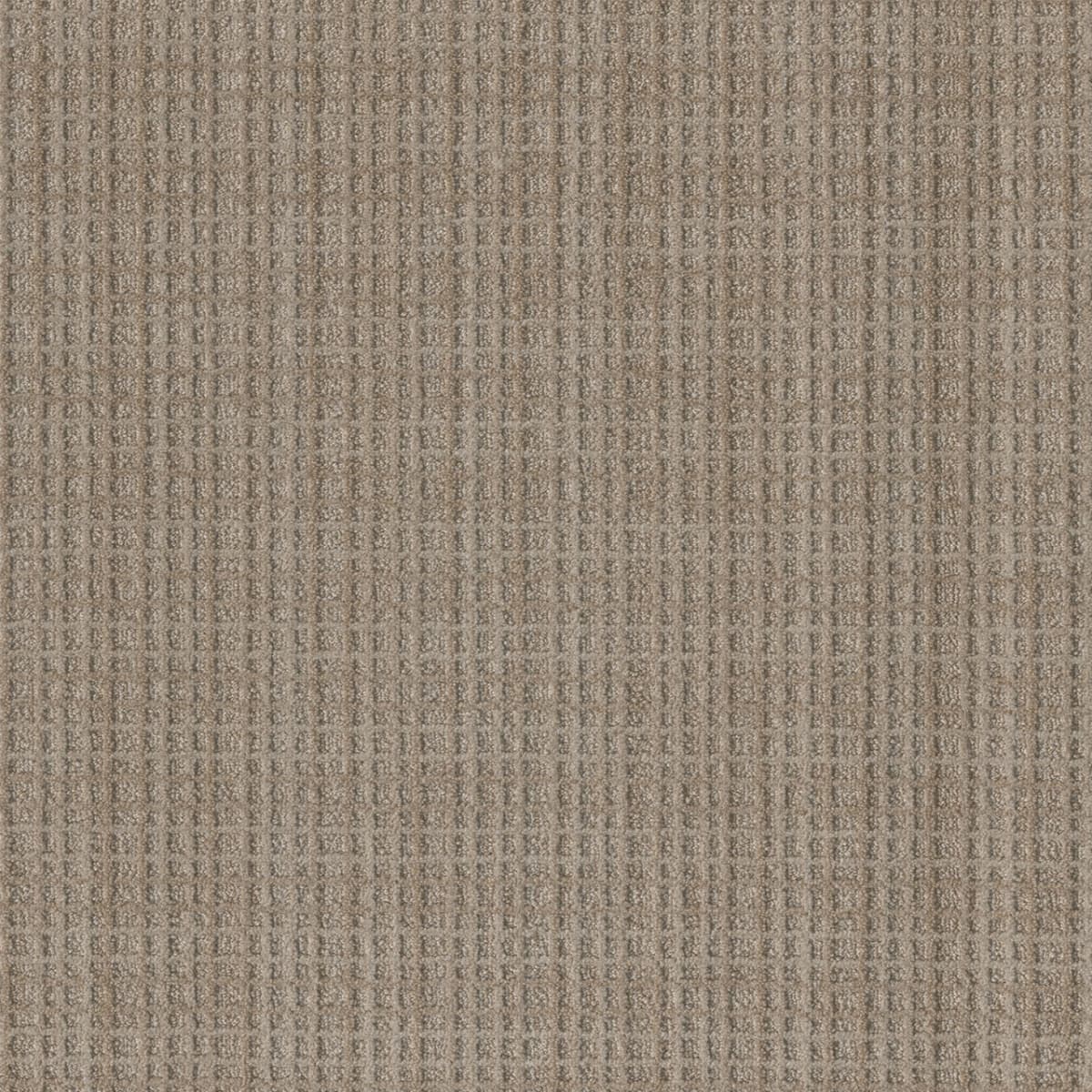 DreamWeaver® Select Suffolk Patterned Carpet