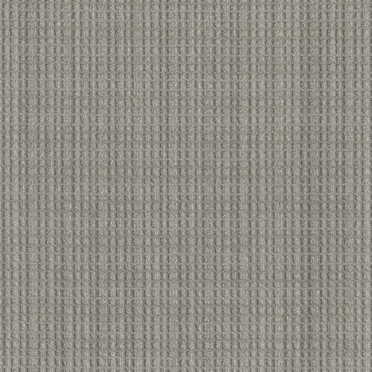 DreamWeaver® Select Suffolk Patterned Carpet