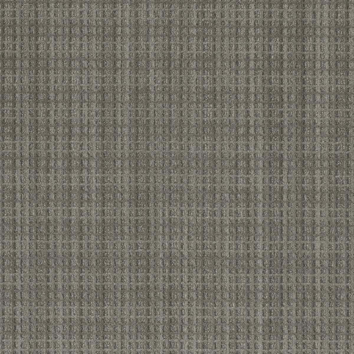 DreamWeaver® Select Suffolk Patterned Carpet