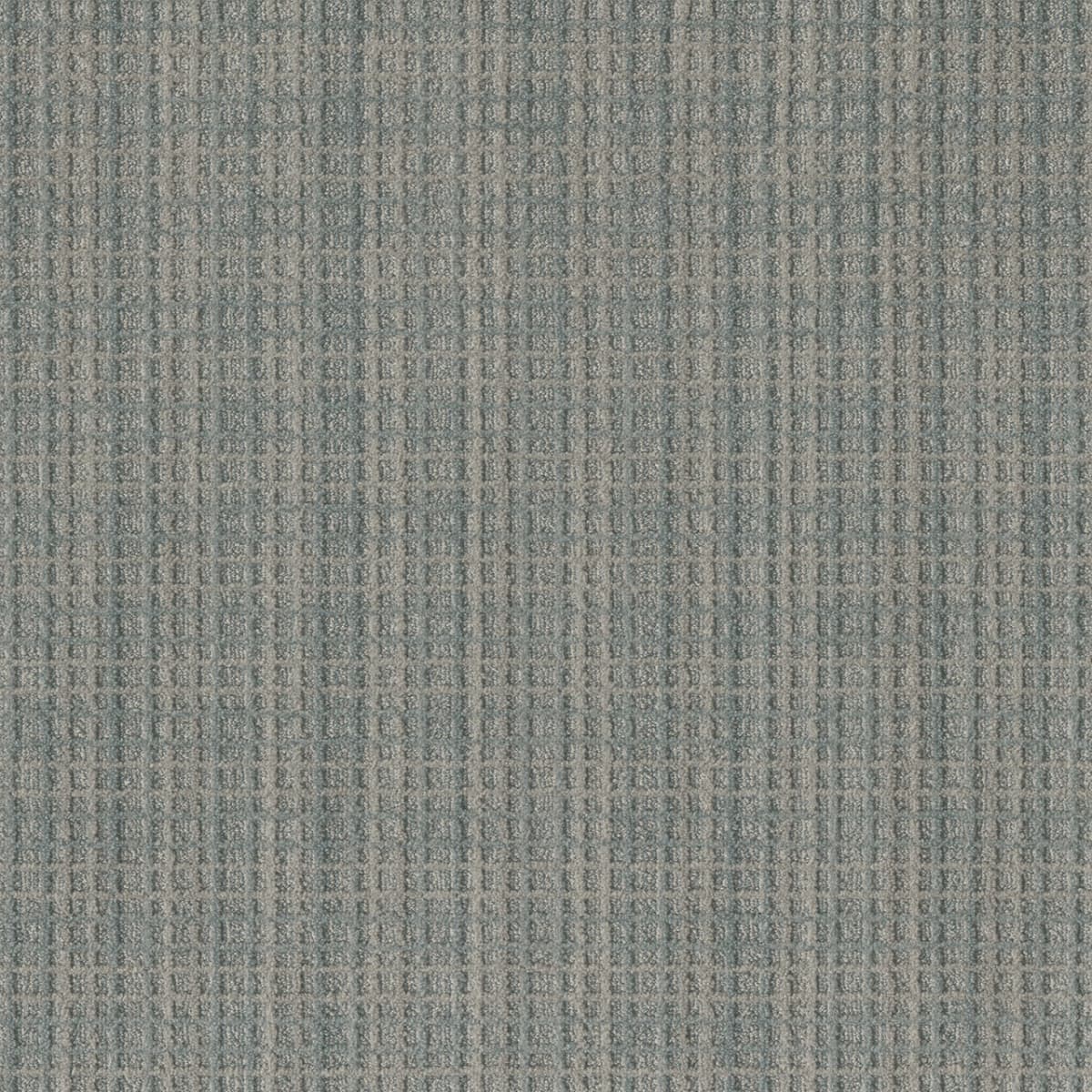 DreamWeaver® Select Suffolk Patterned Carpet