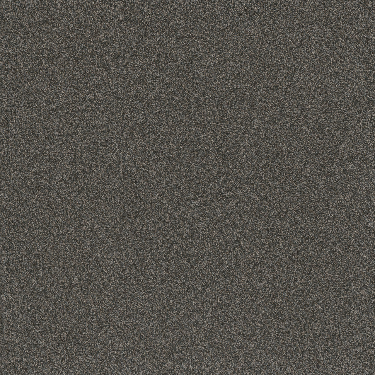 DreamWeaver® Titan I Textured Carpet