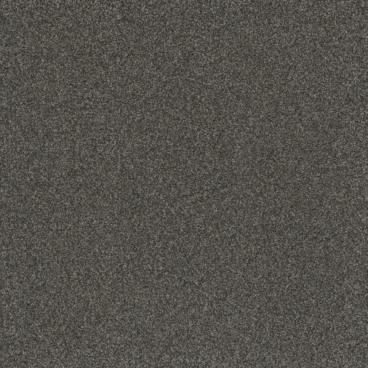 DreamWeaver® Titan III Textured Carpet
