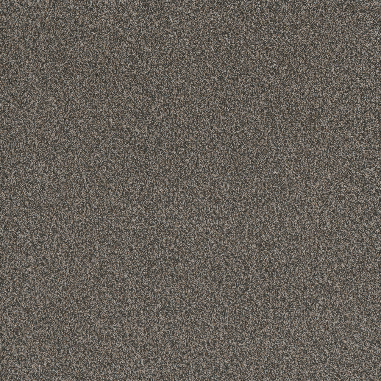 DreamWeaver® Titan I Textured Carpet