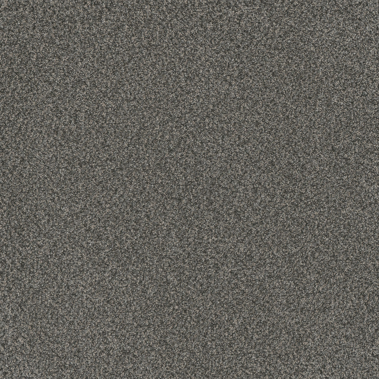 DreamWeaver® Titan I Textured Carpet