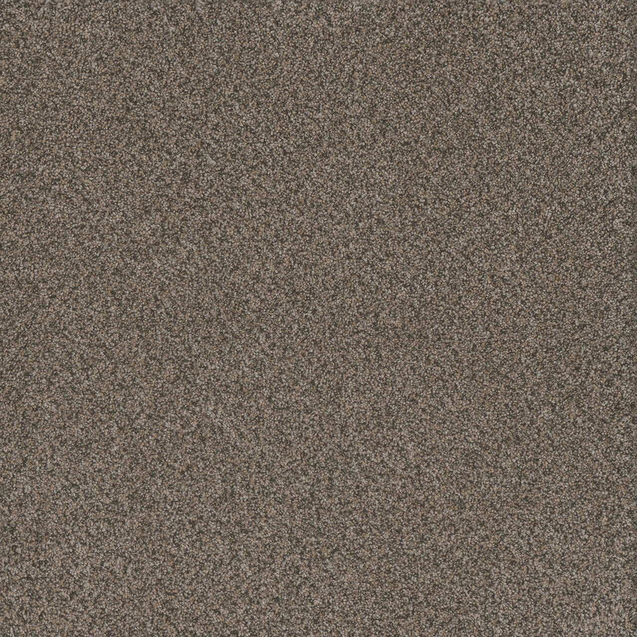 DreamWeaver® Titan I Textured Carpet