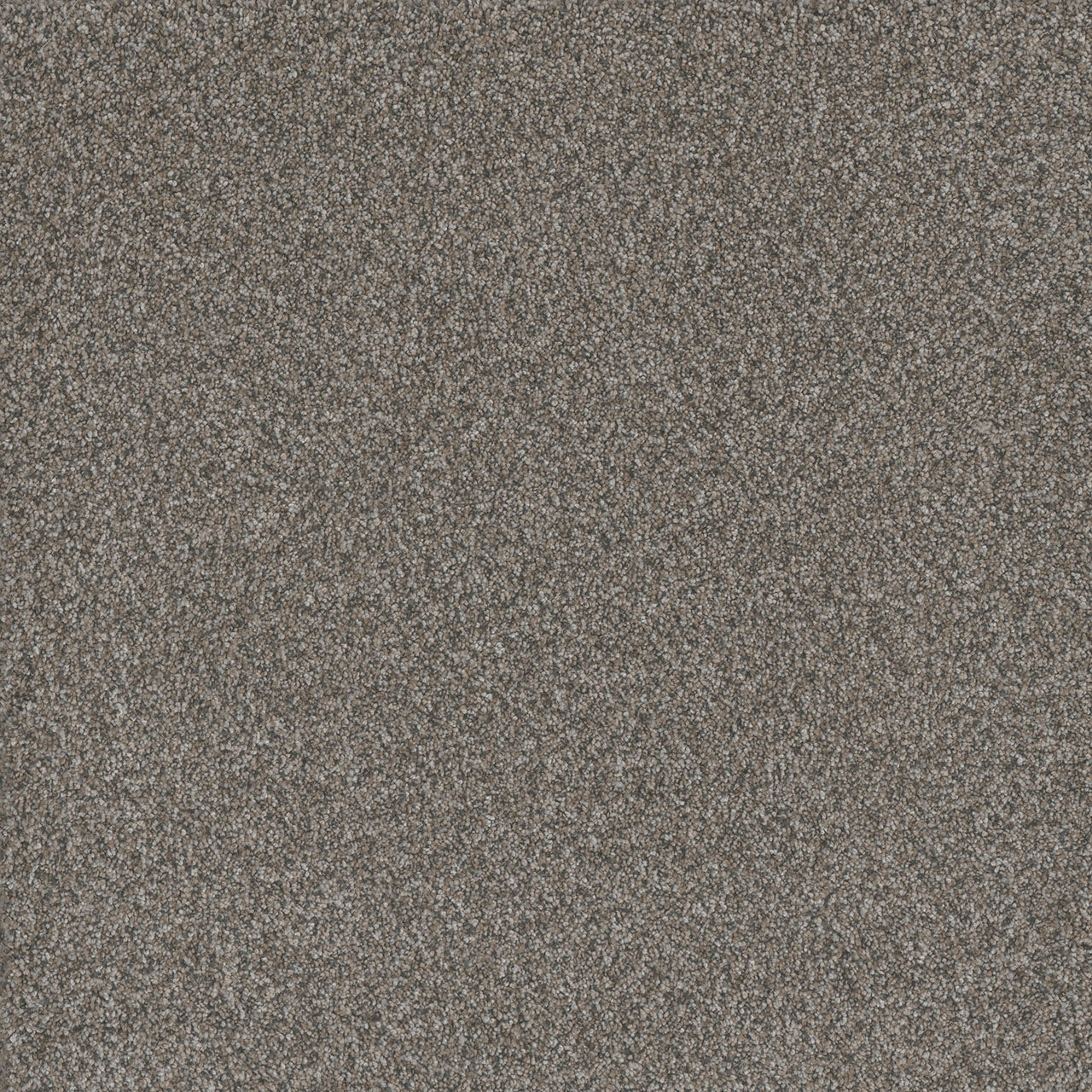DreamWeaver® Titan I Textured Carpet