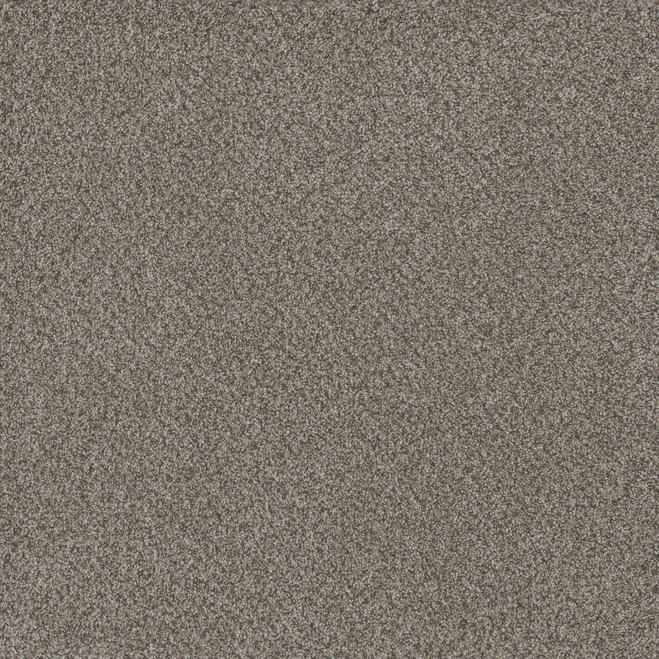 DreamWeaver® Titan I Textured Carpet
