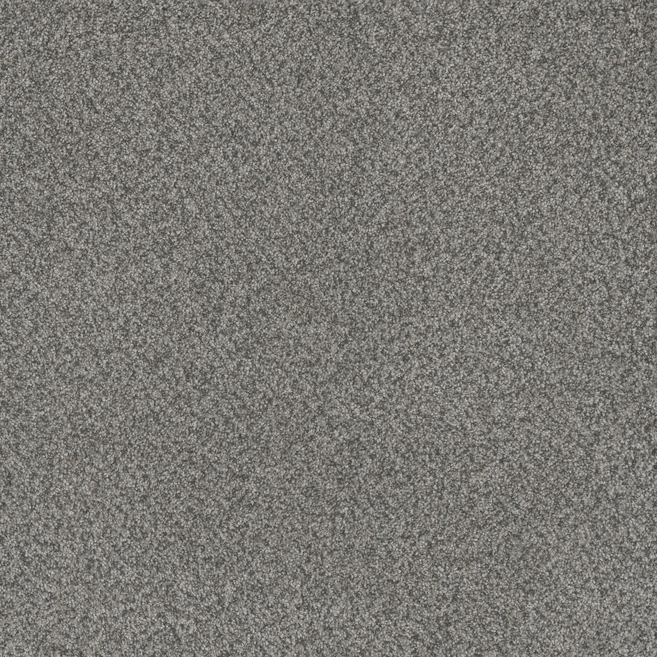 DreamWeaver® Titan I Textured Carpet