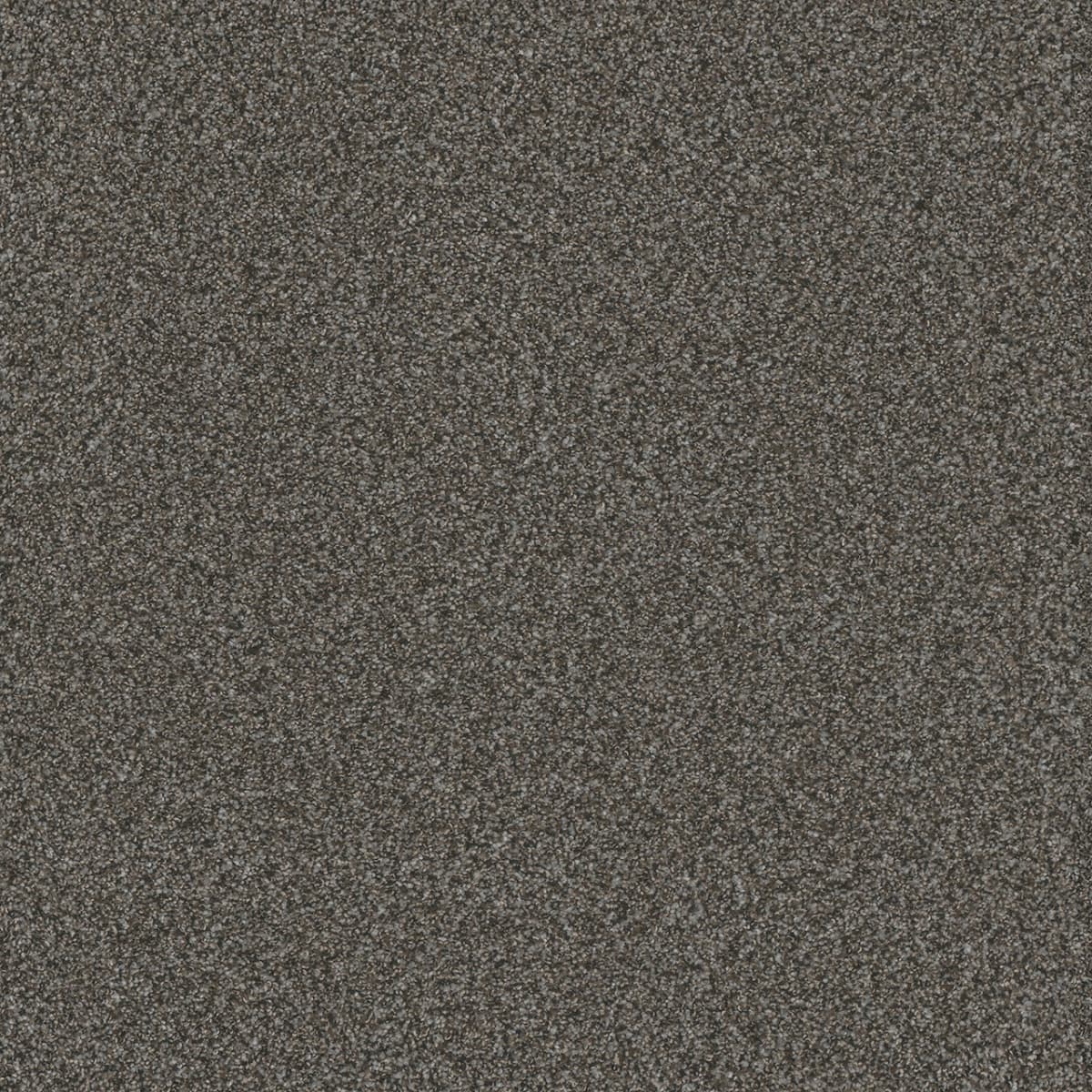 DreamWeaver® Titan I Textured Carpet