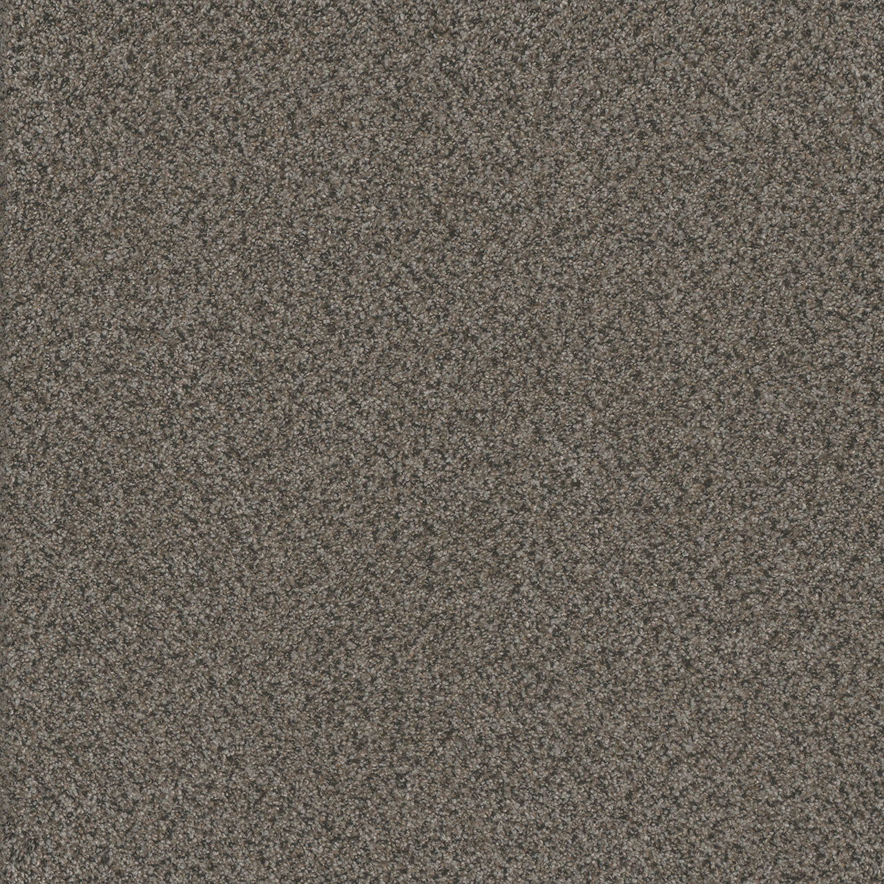 DreamWeaver® Titan I Textured Carpet