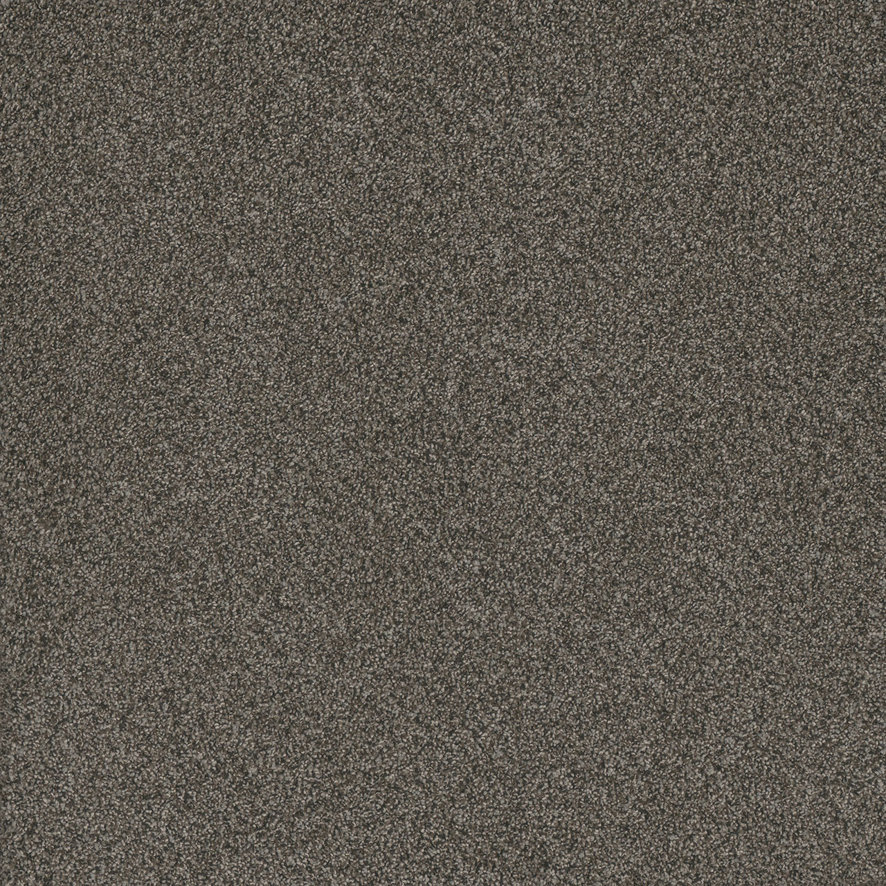 DreamWeaver® Titan I Textured Carpet