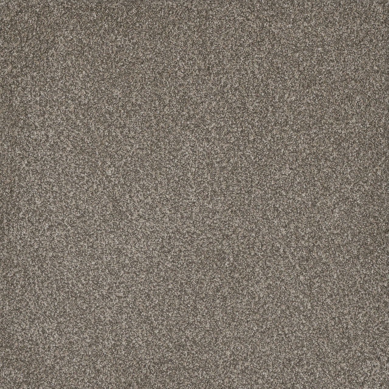 DreamWeaver® Titan I Textured Carpet