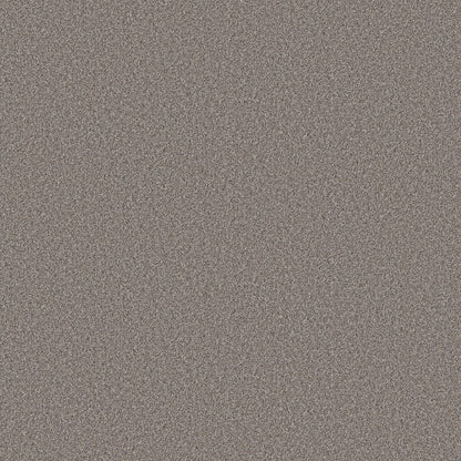 Shaw Wonderland II Carpet Remnant MEGA DEAL