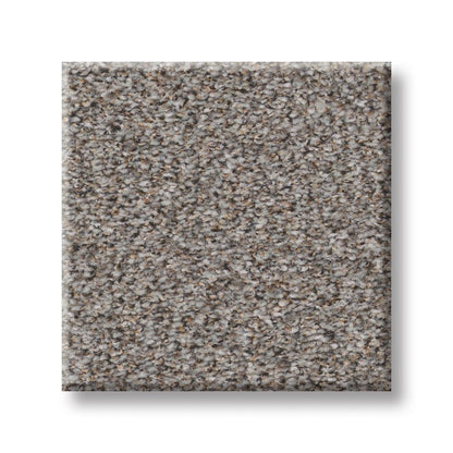 Shaw Wonderland II Carpet Remnant MEGA DEAL