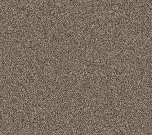 Zeke Carpet | 10% OFF