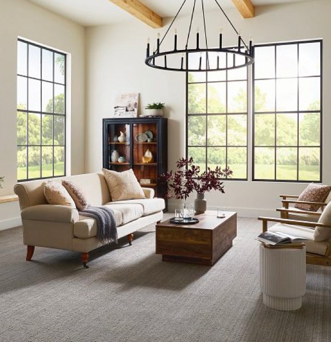 Living room Carpet |  Floor Craft
